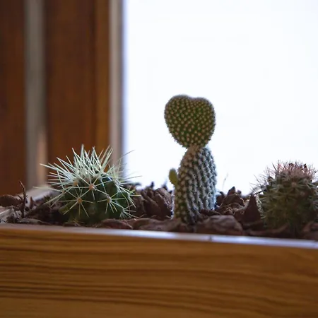 Apartamento Guestready - Catorze De Outubro 427 Vila Nova de Gaia