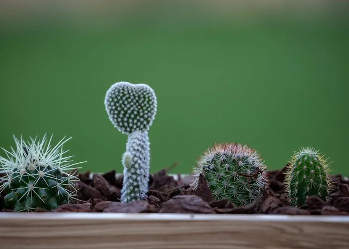 Guestready - Catorze De Outubro 427 Apartman