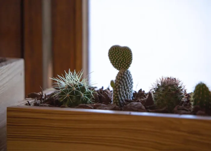 Apartman Guestready - Catorze De Outubro 427 Vila Nova de Gaia